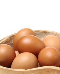 brown eggs on white background