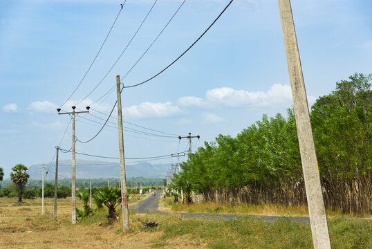 Rural Road With Powerlines, Eastern Sri Lanka