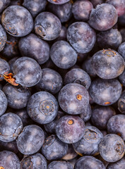fresh blueberry fruit ,close up