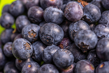fresh blueberry fruit ,close up