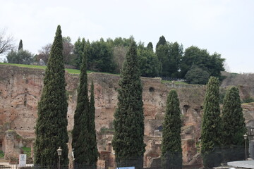 Obraz premium ROME, ITALY - February 05, 2022: Panoramic view around the Colosseum in city of Rome, Italy. Cold and gray sky in the background. Macro photography of the green parks with the old buildings.