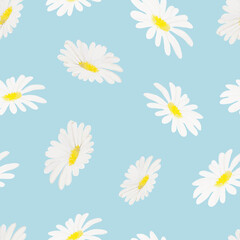 Simple seamless vector pattern with watercolor daisies.