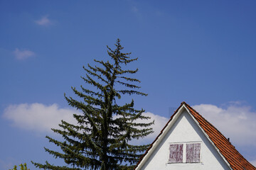 Einfamilenhaus - Wohnen im Grünen. Der hohe Nadelbaum überragt das kleine Haus und neigt sich um...