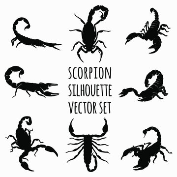 scorpion silhouette vector set, scorpion illustration