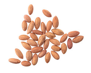 Dogwood dogwood seeds (Cornus mas) isolated on white background.