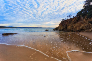 Sea Tathra Beach sand gulls