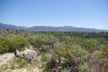 Fototapeta na wymiar Blick in die Berge im O’Neill Regional Park bei Irvine in Kalifornien 