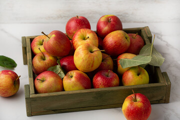 Fresh harvest of apples in a wooden box