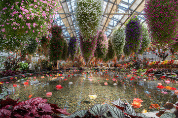 なばなの里　ベゴニアガーデン