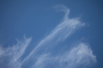 Fototapeta na wymiar Cloudscape with the white clouds
