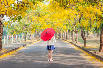 Women standing with red umbrella on the road and Golden shower flowers or Cassia fistula flowers...