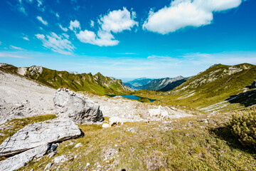 Aufstieg zum Kastenkopf