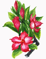 Watercolor plants .Suitable for greeting cards,invitations,design works,crafts and hobbies
