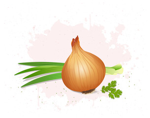 Yellow onion vegetable  vector illustration with green leaves