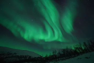 Meubelstickers noorderlicht aurora borealis zweeds lapland © Dimitri