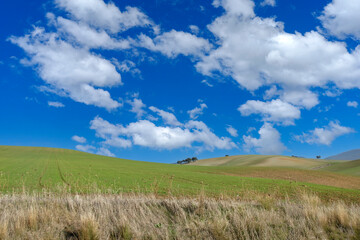 Fototapeta na wymiar bonito campo con contraste de colores entre el cielo y la tierra