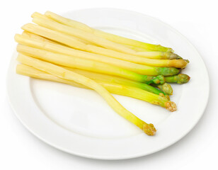 German White Asparagus