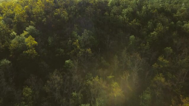 Cinematic aerial shot of an endless mountain and forest landscape in Moldova.