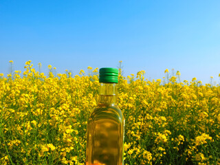 Bottle of golden cooking oil in front of a rapeseed or canola field