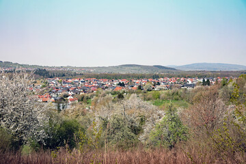 Blick auf Östringen