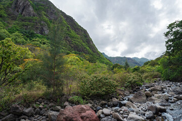 Fototapeta na wymiar mountains and stream of iao valley in west maui