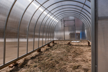 Polycarbonate greenhouse in the garden. The greenhouse is used for growing organic plants at home. Growing vegetables and fruits, gardening. The light is the setting bright sun.