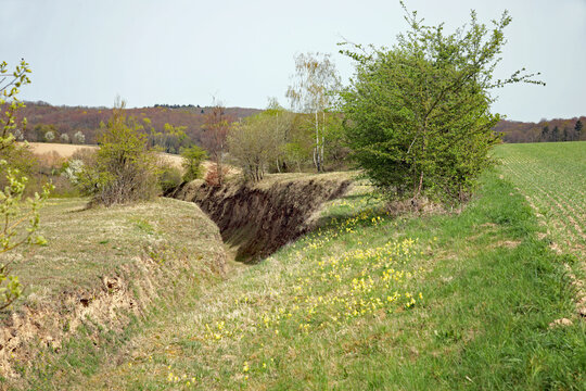 Hohlweg