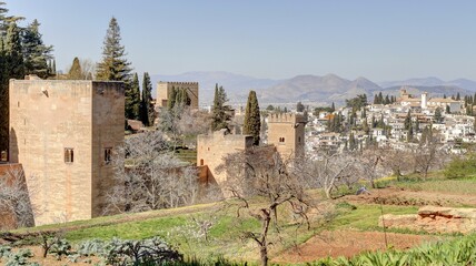 Fototapeta premium panorama sur la ville de Grenade en Andalousie et sur le palais de l'Alhambra