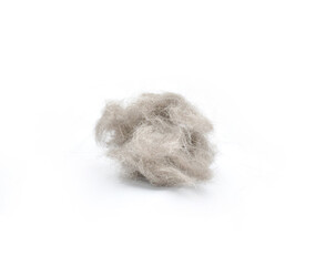 tangle of cat hair on a white background