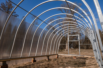Fototapeta premium Polycarbonate greenhouse in the garden. The greenhouse is used for growing organic plants at home. Growing vegetables and fruits, gardening. The light is the setting bright sun.