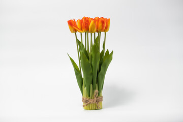 Colorful tulips in a field on a white background