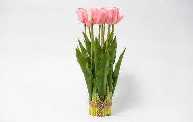 Colorful tulips in a field on a white background