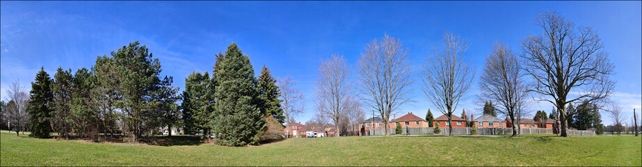 Fototapeta na wymiar Panoramic web banner of the public park in a residential district. Tranquillity scene of a panoramic view of the park in spring.