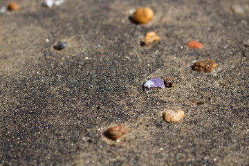 Shells