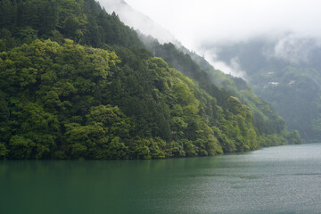新緑が美しいダム湖の湖畔の風景