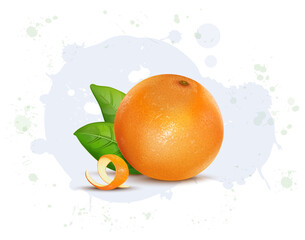 Orange Fruit vector illustration with Green leaves isolated on white background