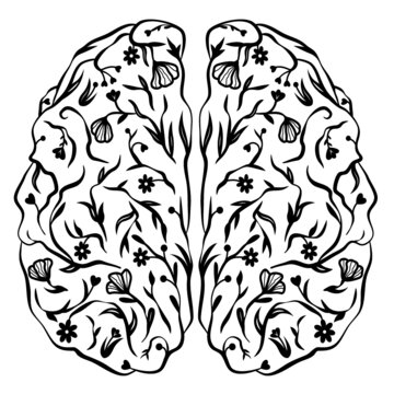Floral brain cut file, Mental Health Awareness, Anatomical human brain with flowers and leaves vector, Medical