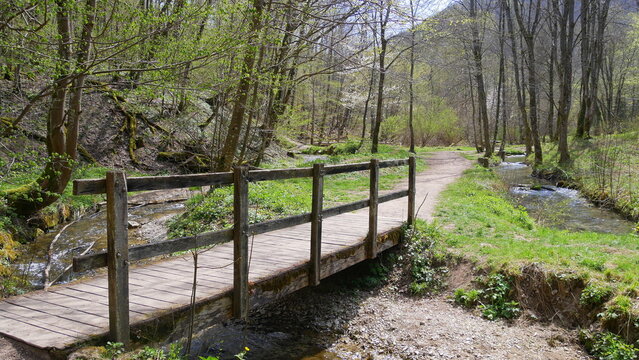 Br&uuml;cke &uuml;ber die Wiesaz auf dem Wanderweg bei den G&ouml;nninger Seen