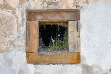 A window with overgrown grass in the wall of the building