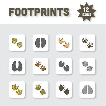 Colorful Footprint Icon Set On White Square Background.