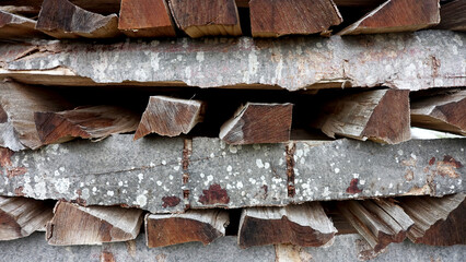 Fallen trees stacked for firewood sawing shredding nature forest