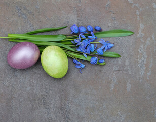 Two colorful Easter eggs in pastel colors and a bunch of blue Scylla primroses, spring holiday composition, selective focus, horizontal orientation.