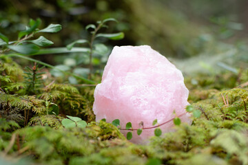 Rose quartz crystal or raw gemstone minerals on a forest floor with lush greenery. 