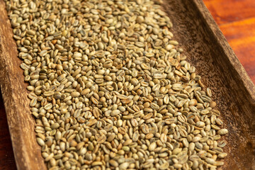 Coffee beans, Raw coffee beans background, Chiriqui Highlands, Panama