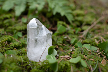 Clear quartz crystal or raw gemstone mineral on a forest floor with lush greenery. 