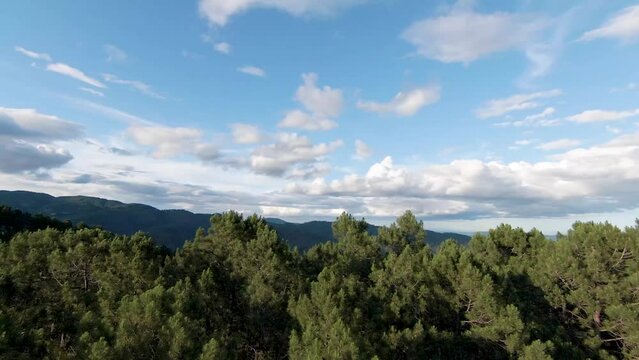 Ch&acirc;teau du moyen-&acirc;ge en ruine perch&eacute; sur un roc montagneux des C&eacute;vennes au milieu d'une for&ecirc;t sauvage dans la nature du Sud de la France.