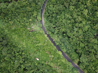 Martinique forest road in the forest drone pictures beautiful view