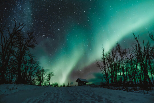 northern lights aurora borealis winter landscape