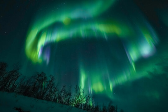 northern lights aurora borealis winter landscape