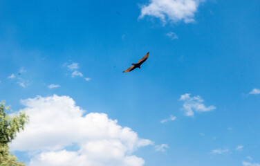 Igreja pedra rio Minas Gerais Brasil
